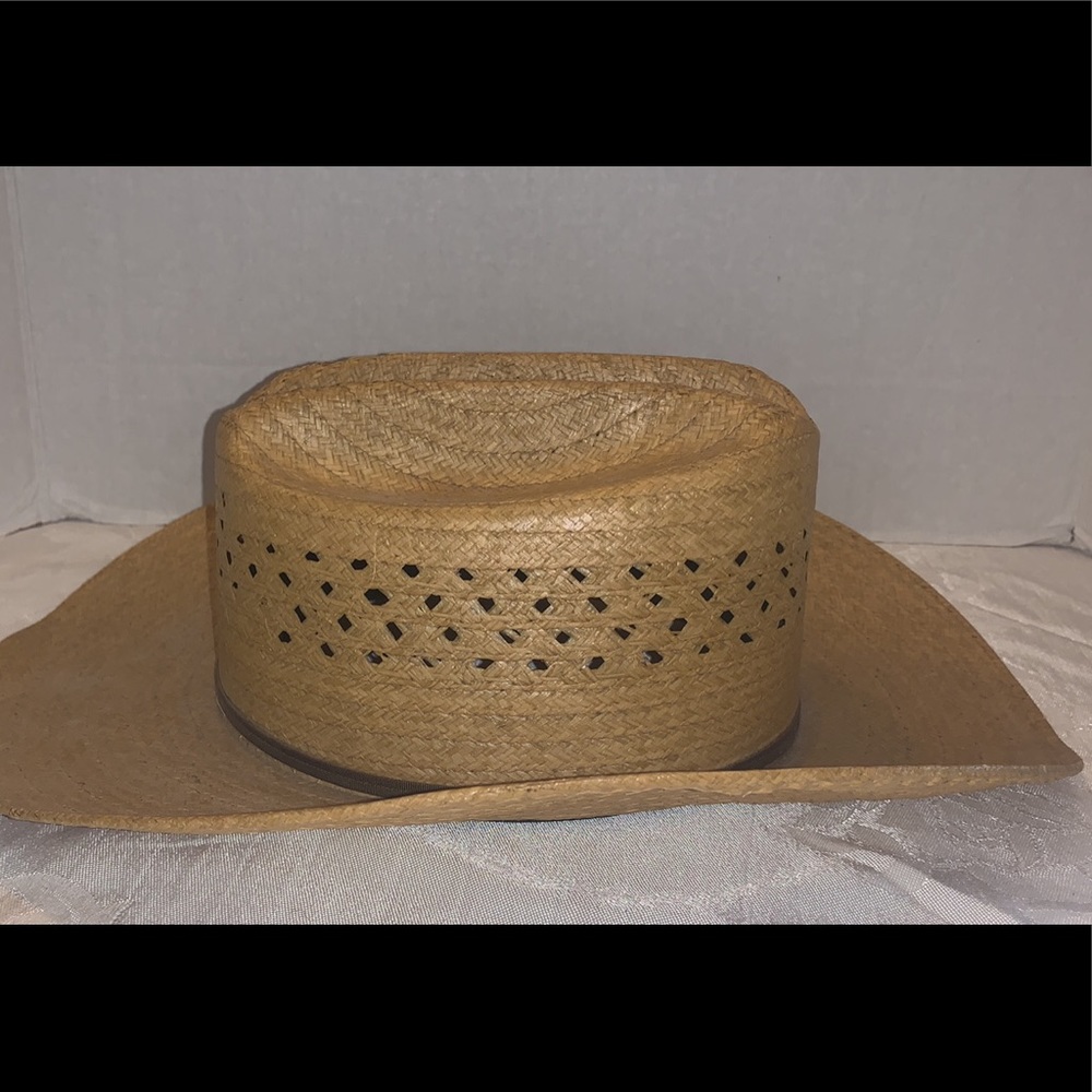 Longhorn Raffia Western Cowboy Hat Rancher - Picture 3 of 8
